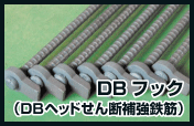 DB�w�b�h����f�⋭�S��